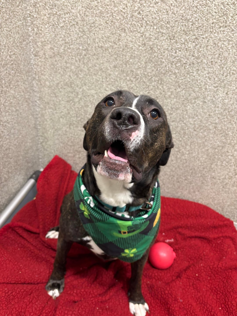 Cheezburger Image 10607993600