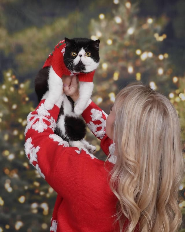 Cheezburger Image 10607998208