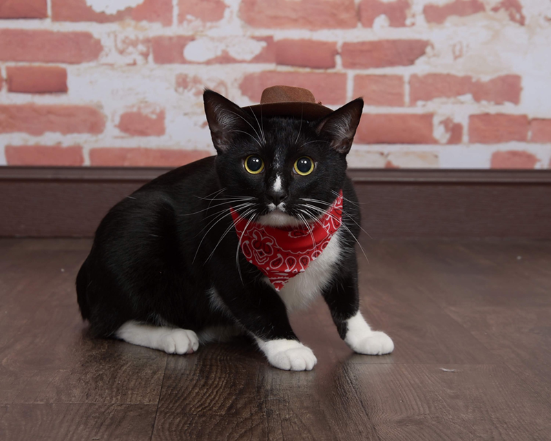 Cheezburger Image 10607998976