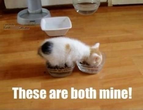 Love Cotsime These are both mine!