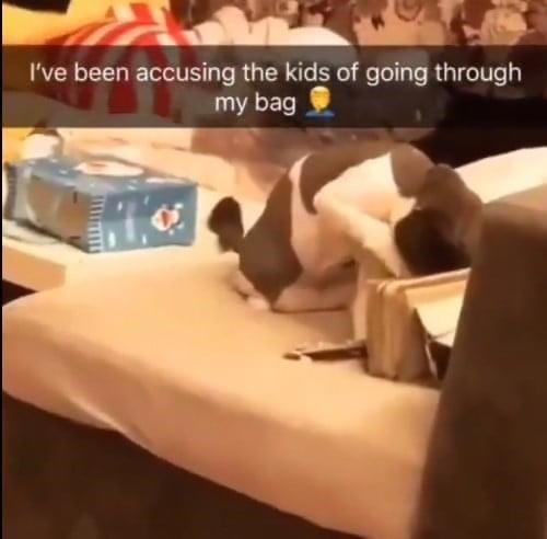 I've been accusing the kids of going through my bag