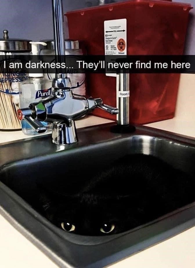 I am darkness... They'll never find me here EPRESSOR Purell Room