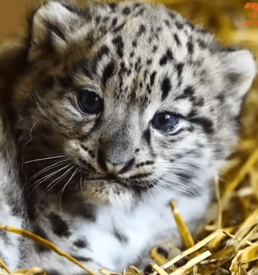 Cheezburger Image 10608015616