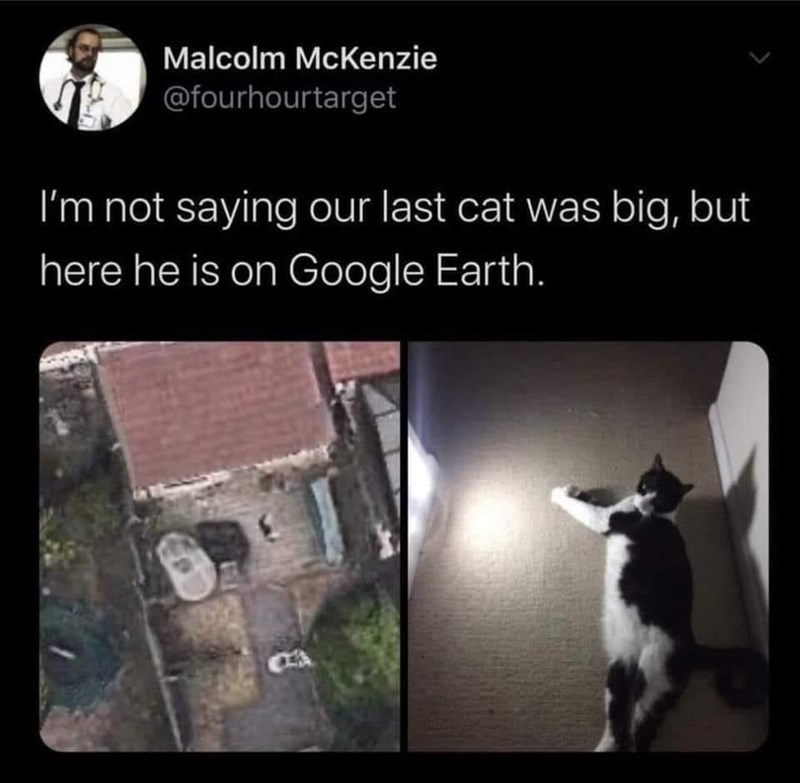 Malcolm McKenzie @fourhourtarget I'm not saying our last cat was big, but here he is on Google Earth.