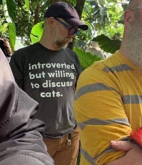 introverted but willing to discuss cats.