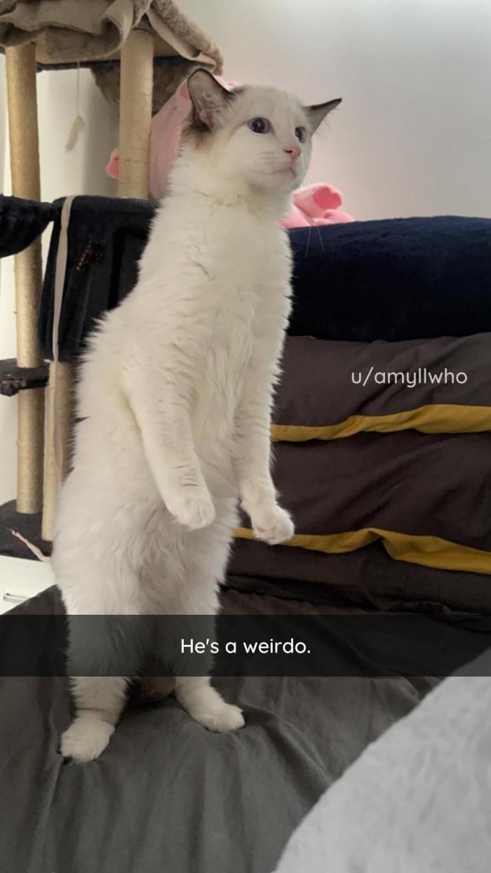 He's a weirdo. u/amyllwho