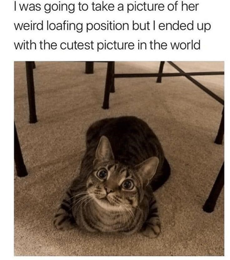 I was going to take a picture of her weird loafing position but I ended up with the cutest picture in the world