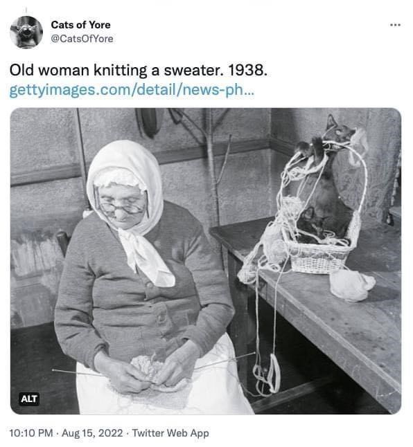 Cats of Yore @CatsOf Yore Old woman knitting a sweater. 1938. gettyimages.com/detail/news-ph... ALT 10:10 PM Aug 15, 2022 Twitter Web App