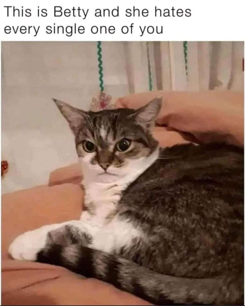 This is Betty and she hates every single one of you