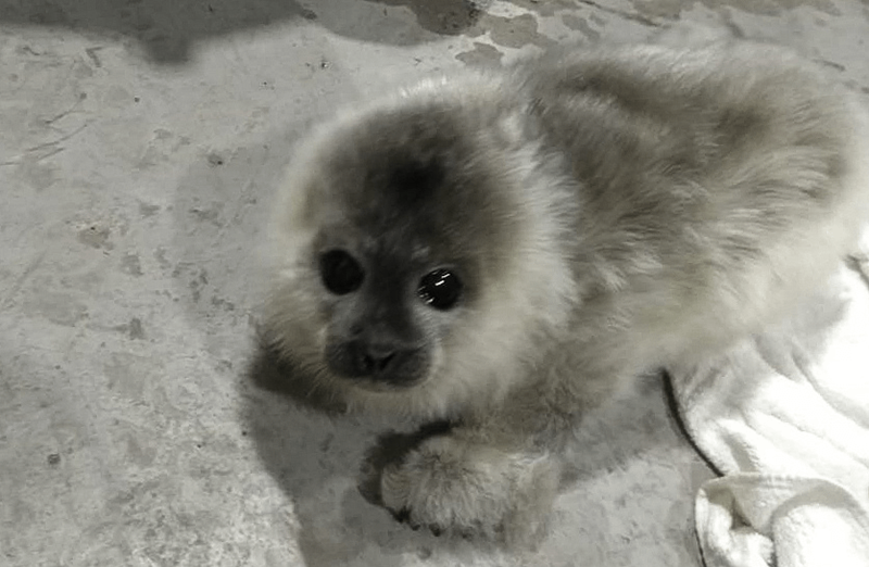 Cheezburger Image 10608030976