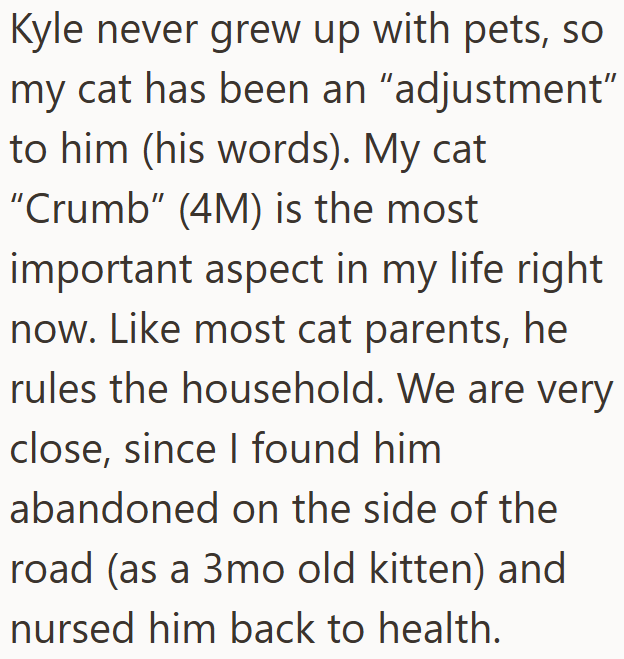 Kyle never grew up with pets, so my cat has been an "adjustment" to him (his words). My cat "Crumb" (4M) is the most important aspect in my life right now. Like most cat parents, he rules the household. We are very close, since I found him abandoned on the side of the road (as a 3mo old kitten) and nursed him back to health.