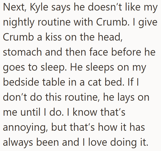 Next, Kyle says he doesn't like my nightly routine with Crumb. I give Crumb a kiss on the head, stomach and then face before he goes to sleep. He sleeps on my bedside table in a cat bed. If I don't do this routine, he lays on me until I do. I know that's annoying, but that's how it has always been and I love doing it.