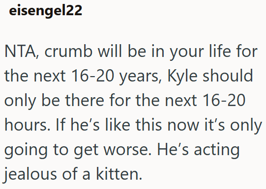 eisengel22 NTA, crumb will be in your life for the next 16-20 years, Kyle should only be there for the next 16-20 hours. If he's like this now it's only going to get worse. He's acting jealous of a kitten.