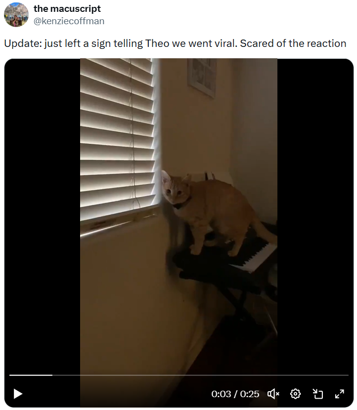 the macuscript @kenziecoffman Update: just left a sign telling Theo we went viral. Scared of the reaction 0:03 / 0:25 × ✡ ŏ ka