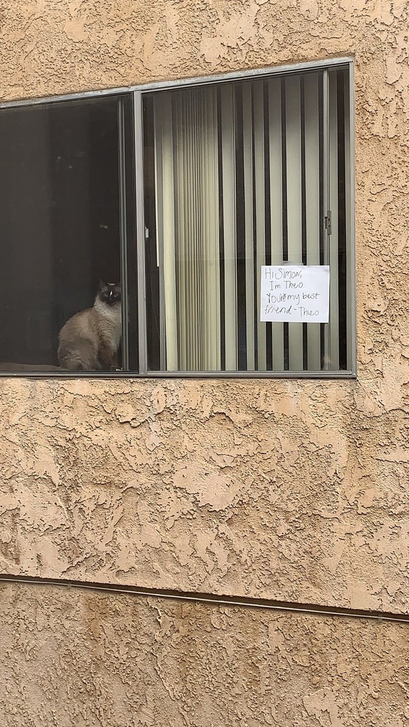 HISIMON I'm Theo You're my friend-Theo bust