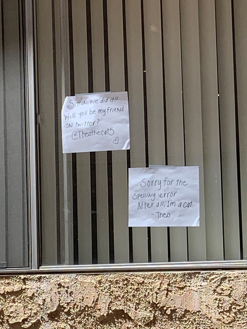 Simon, we did it!! Will you be my friend ON twitter? @Theothecat5 d Sorry for the Spelling error After all, I'm a cat - Theo