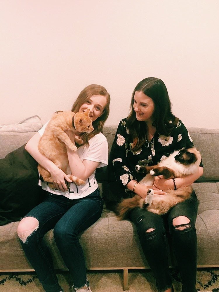 Cheezburger Image 10608055296