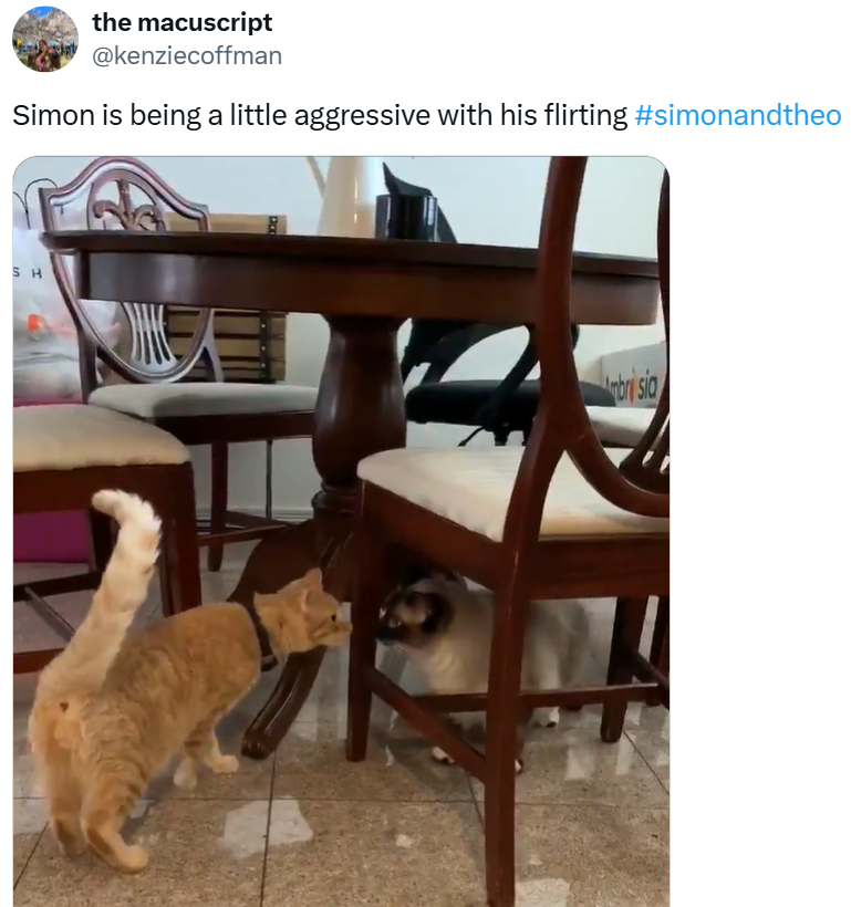 the macuscript @kenziecoffman Simon is being a little aggressive with his flirting #simonandtheo SH cacx mbri sia