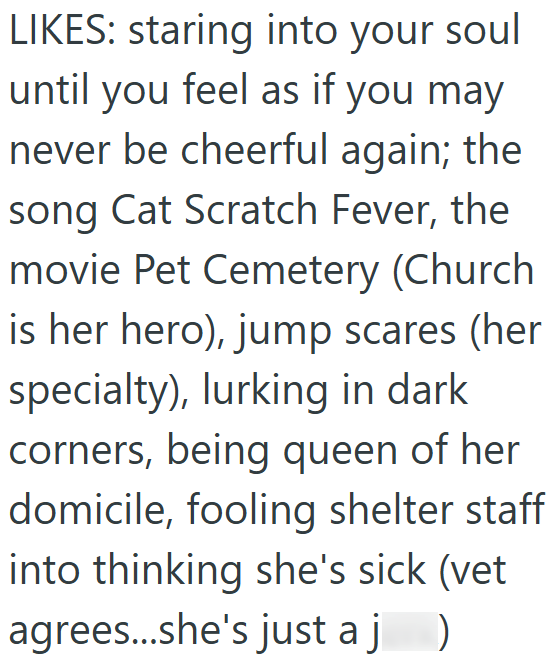 LIKES: staring into your soul until you feel as if you may never be cheerful again; the song Cat Scratch Fever, the movie Pet Cemetery (Church is her hero), jump scares (her specialty), lurking in dark corners, being queen of her domicile, fooling shelter staff into thinking she's sick (vet agrees...she's just a j )