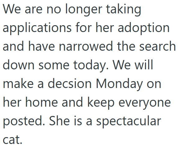 We are no longer taking applications for her adoption and have narrowed the search down some today. We will make a decsion Monday on her home and keep everyone posted. She is a spectacular cat.