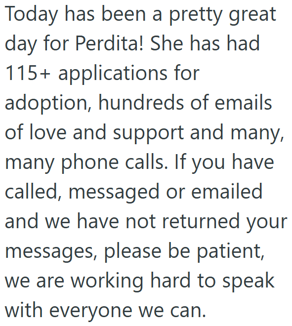 Today has been a pretty great day for Perdita! She has had 115+ applications for adoption, hundreds of emails of love and support and many, many phone calls. If you have called, messaged or emailed and we have not returned your messages, please be patient, we are working hard to speak with everyone we can.