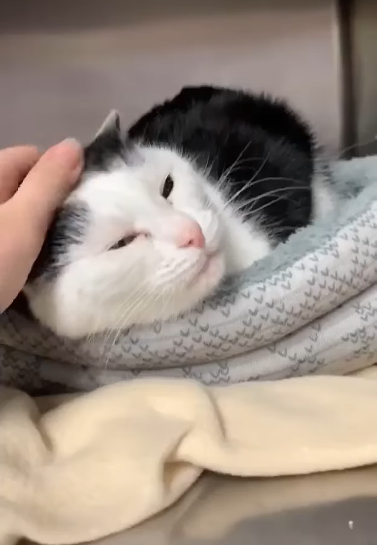 Cheezburger Image 10608061184