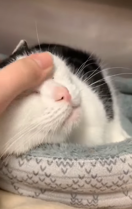 Cheezburger Image 10608061440