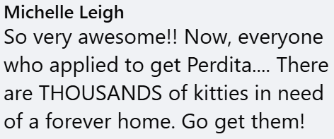 Michelle Leigh So very awesome!! Now, everyone who applied to get Perdita.... There are THOUSANDS of kitties in need of a forever home. Go get them!
