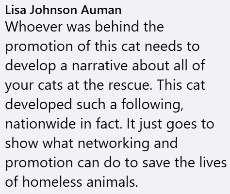 Lisa Johnson Auman Whoever was behind the promotion of this cat needs to develop a narrative about all of your cats at the rescue. This cat developed such a following, nationwide in fact. It just goes to show what networking and promotion can do to save the lives of homeless animals.
