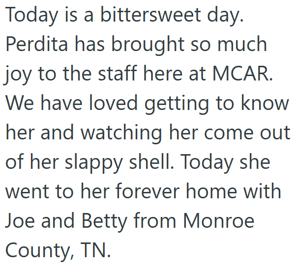 Today is a bittersweet day. Perdita has brought so much joy to the staff here at MCAR. We have loved getting to know her and watching her come out of her slappy shell. Today she went to her forever home with Joe and Betty from Monroe County, TN.