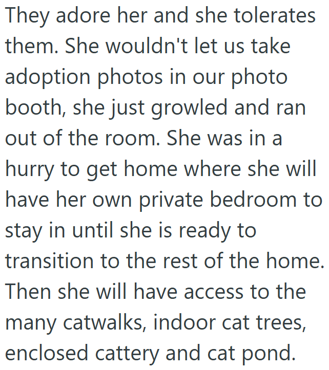 They adore her and she tolerates them. She wouldn't let us take adoption photos in our photo booth, she just growled and ran out of the room. She was in a hurry to get home where she will have her own private bedroom to stay in until she is ready to transition to the rest of the home. Then she will have access to the many catwalks, indoor cat trees, enclosed cattery and cat pond.