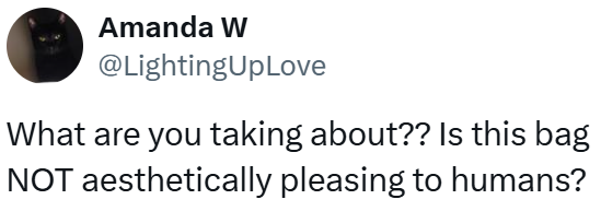 Amanda W @LightingUpLove What are you taking about?? Is this bag NOT aesthetically pleasing to humans?