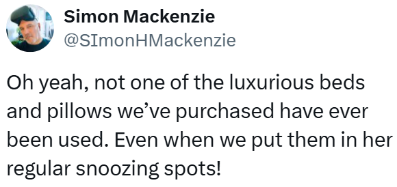 Simon Mackenzie @SimonHMackenzie Oh yeah, not one of the luxurious beds and pillows we've purchased have ever been used. Even when we put them in her regular snoozing spots!