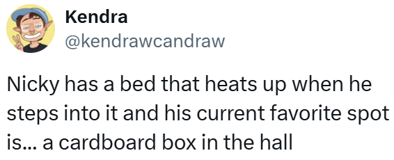 Kendra @kendrawcandraw Nicky has a bed that heats up when he steps into it and his current favorite spot is... a cardboard box in the hall