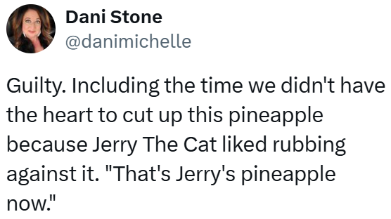 Dani Stone @danimichelle Guilty. Including the time we didn't have the heart to cut up this pineapple because Jerry The Cat liked rubbing against it. "That's Jerry's pineapple now."