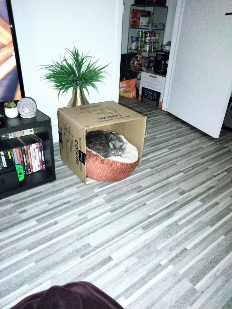 ktylitos COSORI COSORI COSORI