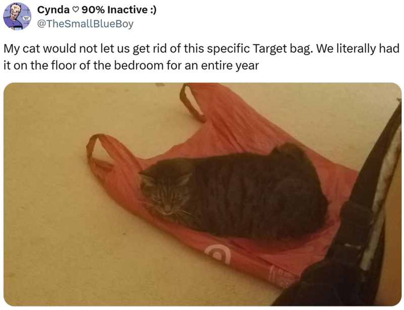 Cynda 90% Inactive :) @TheSmallBlueBoy My cat would not let us get rid of this specific Target bag. We literally had it on the floor of the bedroom for an entire year