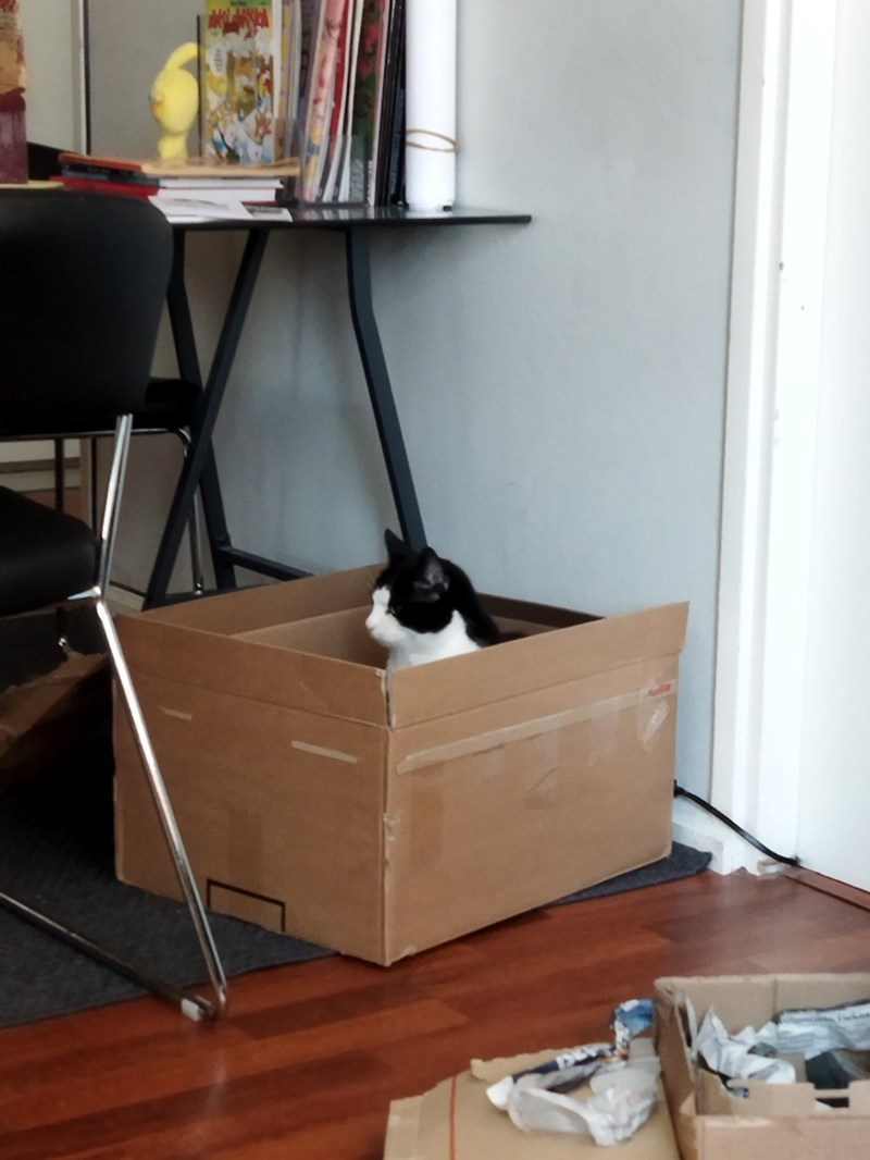 Cheezburger Image 10608073472