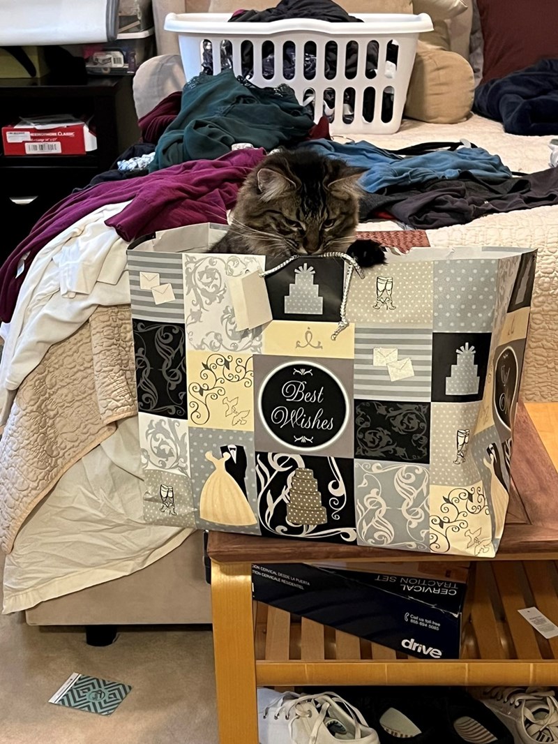 9901 Best Wishes DON CERVICAL DESDE LA PUERTA TON CERVICALE RESIDENTIEL TRACTION SET CERVICAL Call us tod-free drive