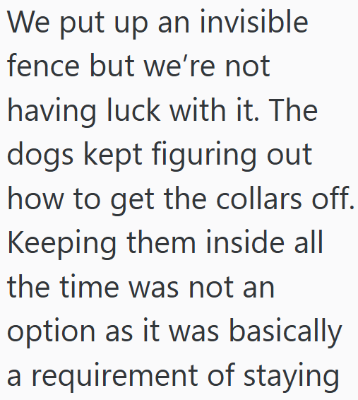 We put up an invisible fence but we're not having luck with it. The dogs kept figuring out how to get the collars off. Keeping them inside all the time was not an option as it was basically a requirement of staying