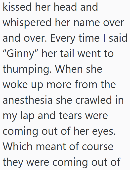 kissed her head and whispered her name over and over. Every time I said "Ginny" her tail went to thumping. When she woke up more from the anesthesia she crawled in my lap and tears were coming out of her eyes. Which meant of course they were coming out of