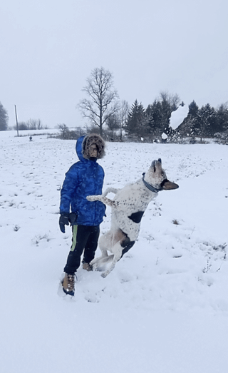 Cheezburger Image 10608091904