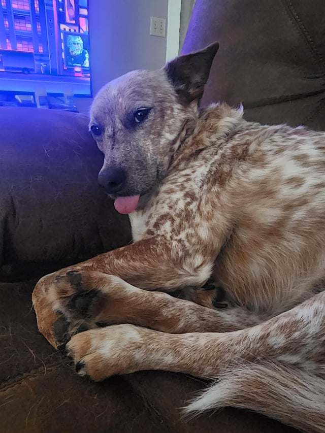 Cheezburger Image 10608093440