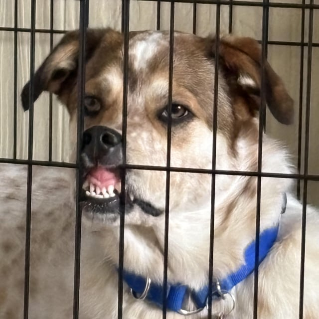 Cheezburger Image 10608093952