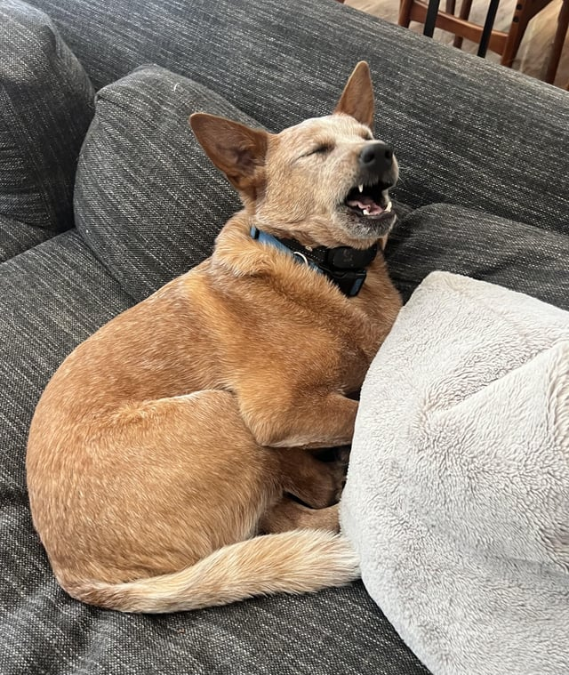 Cheezburger Image 10608094464