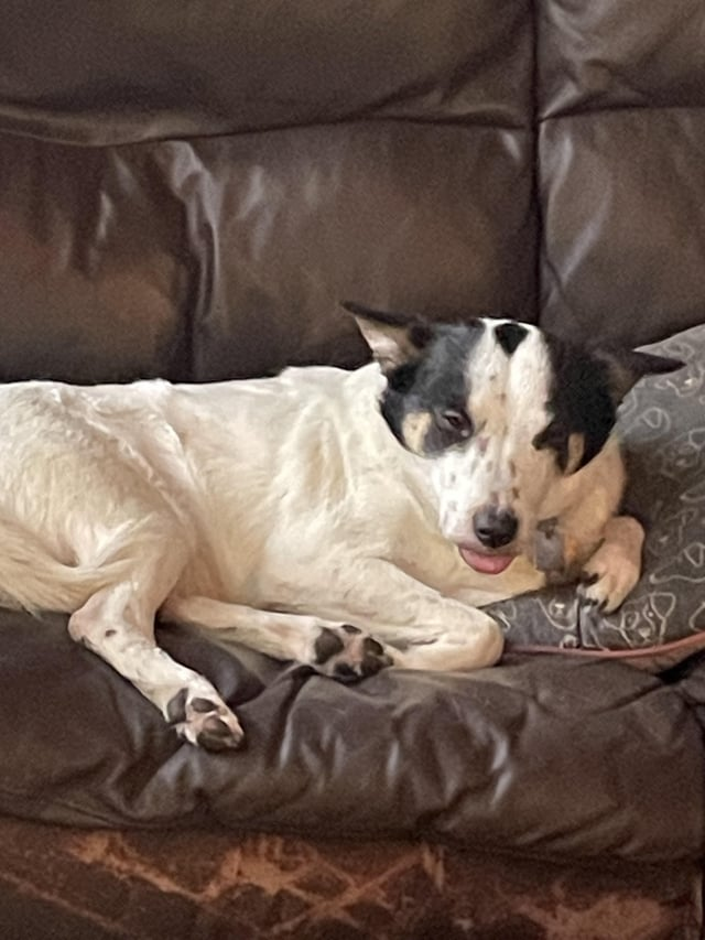 Cheezburger Image 10608095744