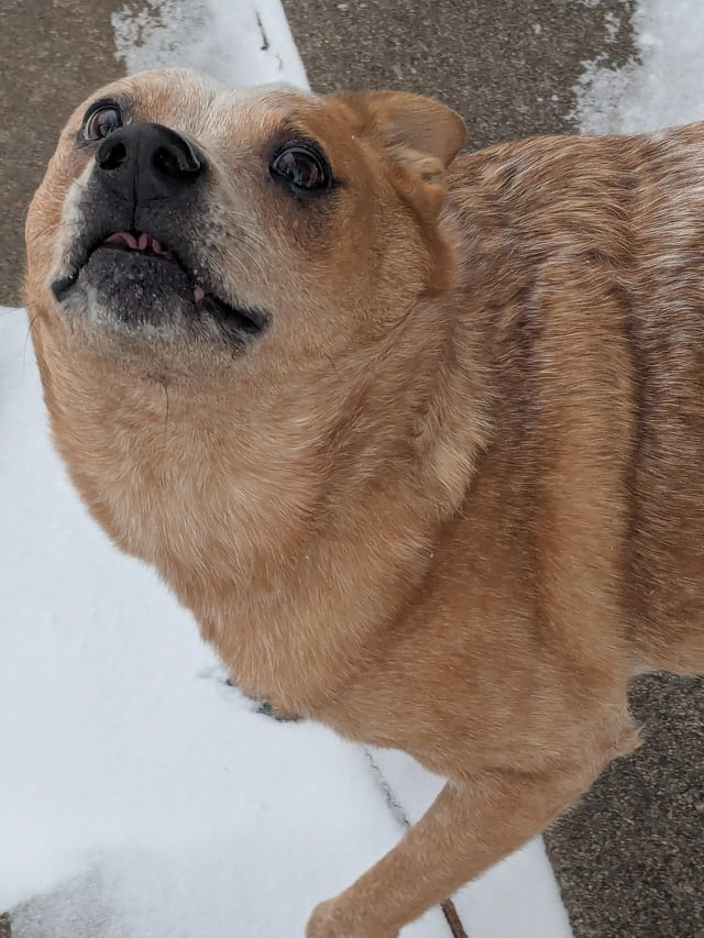 Cheezburger Image 10608096256