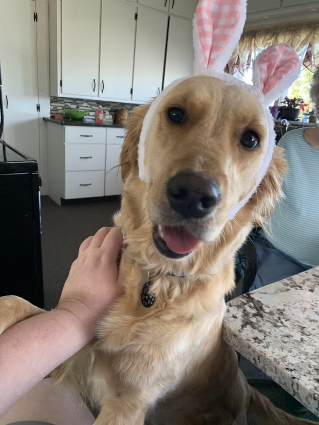 Cheezburger Image 10608125440