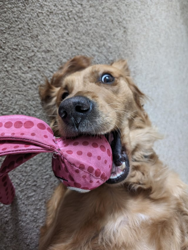 Cheezburger Image 10608126720