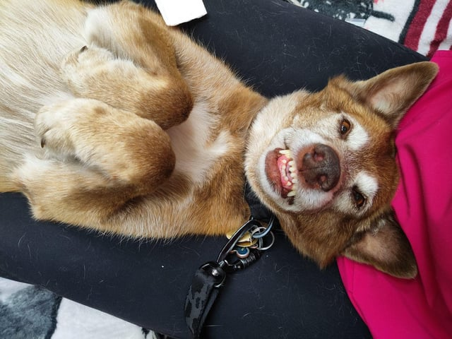 Cheezburger Image 10608126976